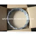 304 filo spinato in acciaio inossidabile